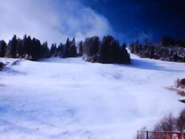 051.JPG